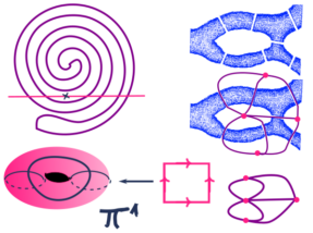 topologie